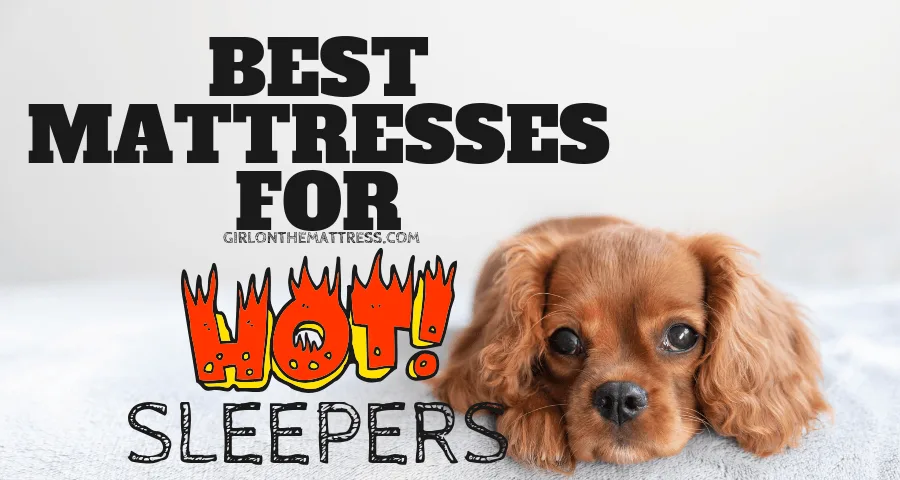 Which Mattress Wins 2026? Sleep Number vs Helix vs Purple — The Ultimate Showdown You Can’t Miss