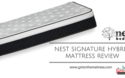 Nest Alexander Hybrid Mattress Review