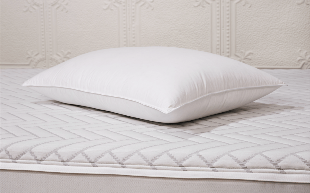 wright-duck-down-pillow-review