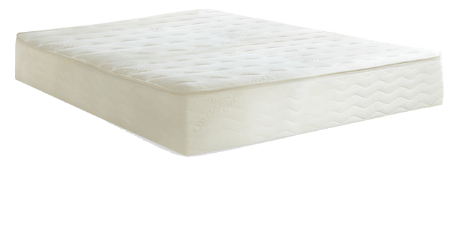 plushbeds botanical bliss review, plushbed reviews, plushbed latex mattress
