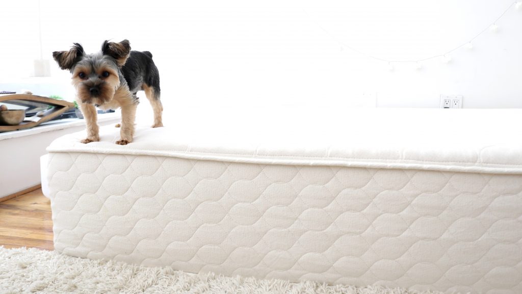 Winkbeds Ecocloud Mattress Review, Ecocloud mattress review, Eco cloud mattress, ecocloud mattress, ecocloud9